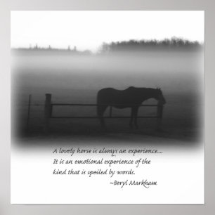 Une Belle Poster De Cheval