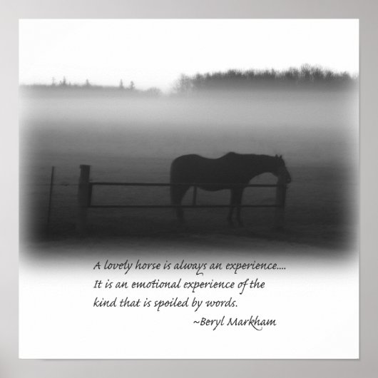 Une Belle Poster De Cheval (Devant)