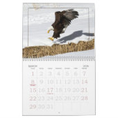Une Bonne Année Pour Le Calendrier Des Aigles (Mar 2026)