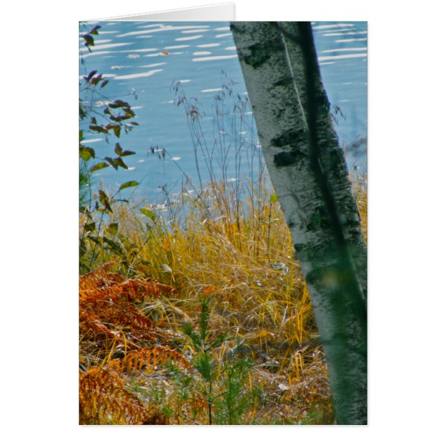 Une Brève D'Automne (Devant)