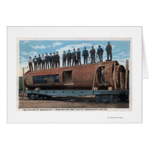 Une cage d'ours et l'habitation dans un immense jo