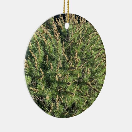 Une Californie en floraison : Ornement en céramiqu (Droite)