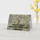 Une carte bithday d'un écureuil (Fleur jaune)