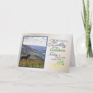 Une carte d'anniversaire pour petit-fils.