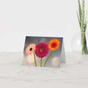 Une carte de vœux pliée Trio de Gerberas