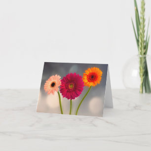 Une carte de vœux pliée Trio de Gerberas