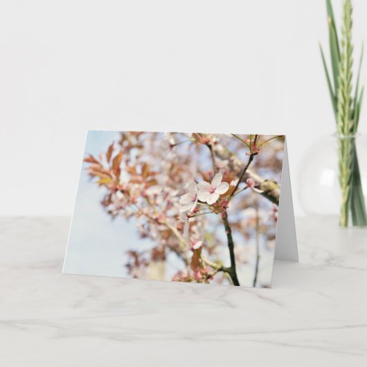 Une carte de voeux vierge de 7 x 5'' (Devant)