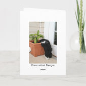 Une carte deux trois cartes (Dos)