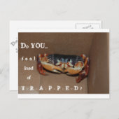 Une carte drôle pour remonter le moral d'un ami... (Devant / Derrière)