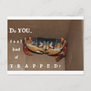 Une carte drôle pour remonter le moral d'un ami...