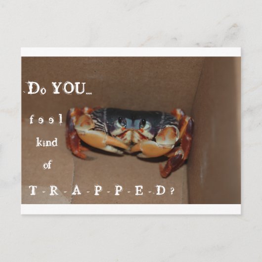 Une carte drôle pour remonter le moral d'un ami... (Devant)