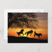 Une carte postale amusante avec des chevaux! (Devant / Derrière)