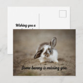 Une Carte Postale Bunny (Devant / Derrière)