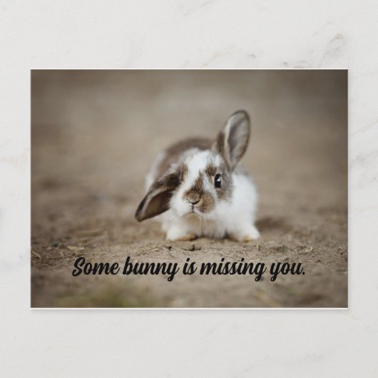 Une Carte Postale Bunny (Devant)
