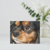 Une carte postale Cavalier King Charles Spaniel ch (Debout devant)