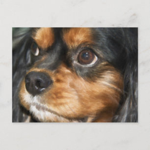 Une carte postale Cavalier King Charles Spaniel ch