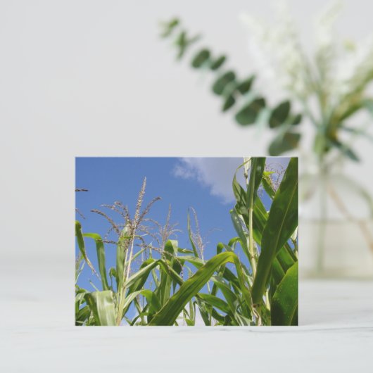 Une Carte Postale Corny ! (Debout devant)