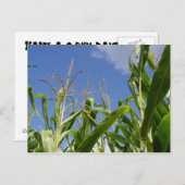 Une Carte Postale Corny ! (Devant / Derrière)