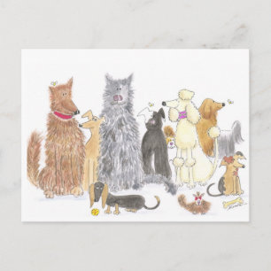 Une carte postale de chien délicieuse