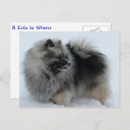 Une carte postale en hiver (Devant / Derrière)