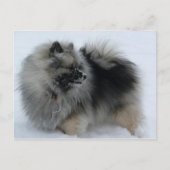 Une carte postale en hiver (Devant)