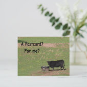 Une carte postale ? Pour Moi ? (Debout devant)
