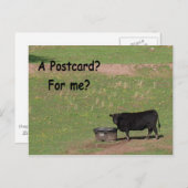 Une carte postale ? Pour Moi ? (Devant / Derrière)