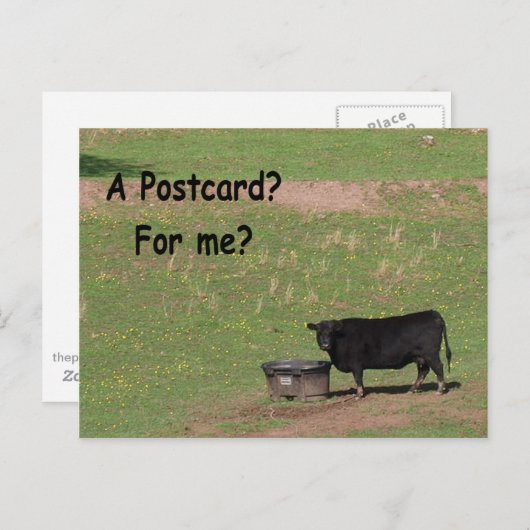 Une carte postale ? Pour Moi ? (Devant / Derrière)