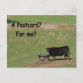 Une carte postale ? Pour Moi ? (Devant)