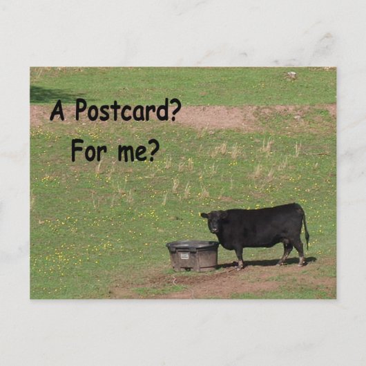 Une carte postale ? Pour Moi ? (Devant)