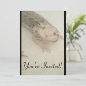 Une carte reptile pour toutes les occasions ! (Debout devant)