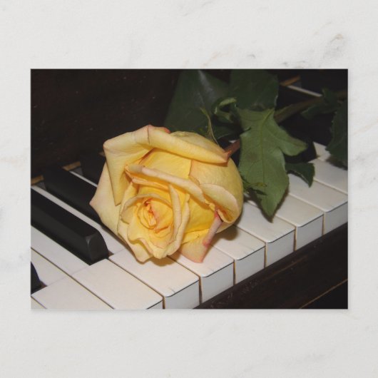 Une Chanson D'Une Carte Postale Rose (Devant)