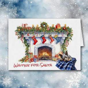 Une cheminée de chien de bétail australien attend 