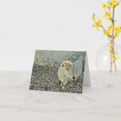 Une Chèvre Amicale Dit Bonjour - Carte Vierge (Fleur jaune)