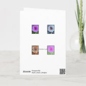 Une collection de cartes Dahlias (Dos)