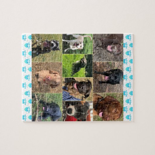 Une Collection De Puzzle De Chiens (Horizontal)