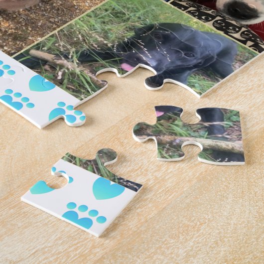 Une Collection De Puzzle De Chiens (Côté)