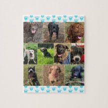 Une Collection De Puzzle De Chiens