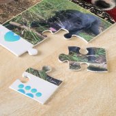 Une Collection De Puzzle De Chiens (Côté)