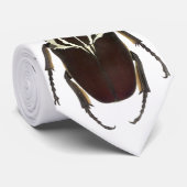 Une cravate de Goliathus (Roulé)