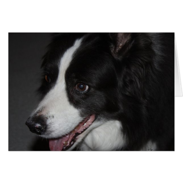 Une dame (Devant horizontal)