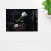 Une Dernière rose blanche (Bureau)