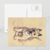 Une douzaine de chiens ou ainsi Cecil Aldin carte  (Devant / Derrière)