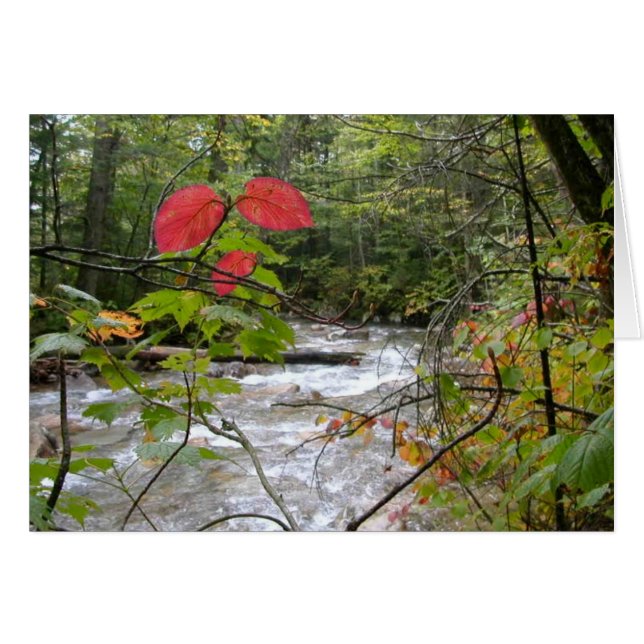 "Une éclaboussure du rouge " (Devant Horizontal)