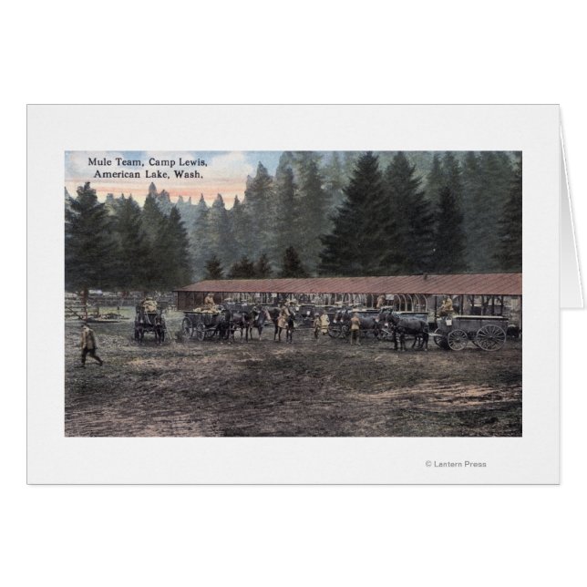 Une équipe de Mule au Camp Lewis (Devant horizontal)