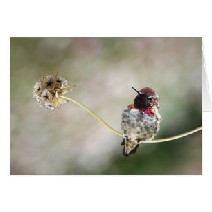 une étoile était née