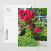 Une explosion de carte postale Rose (Devant / Derrière)