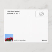 Une explosion de carte postale Rose (Dos)