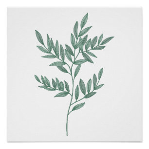 Une feuille en pin peint en bleu sage Poster Impri