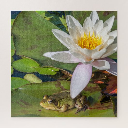 Une grenouille sous une fleur de nénuphar legpuzzel (Verticaal)